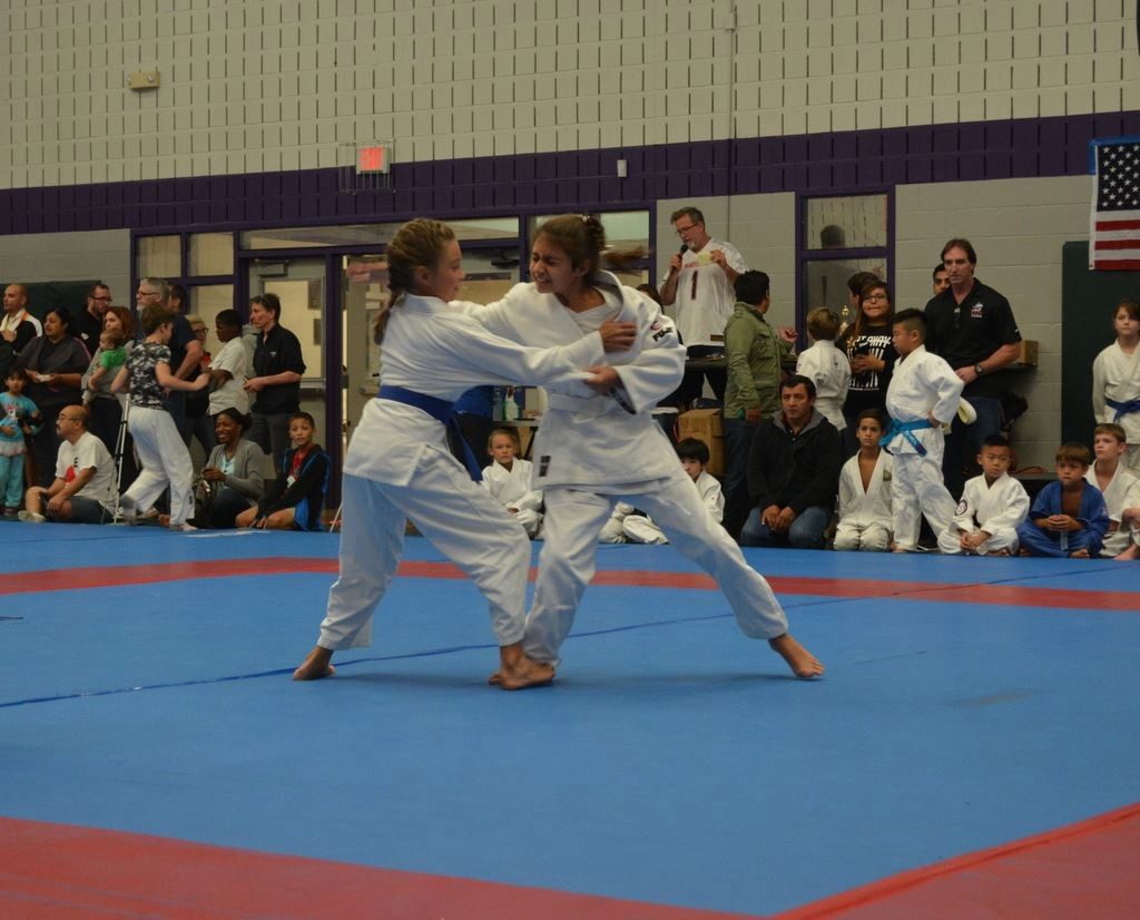 addison -judo